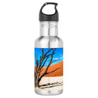 Garrafa Árvore morta em Deadvlei, Namíbia