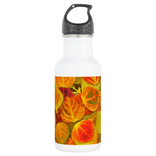 Garrafa Aspen Deixa Collage Sólido Medley 1 (Frente)