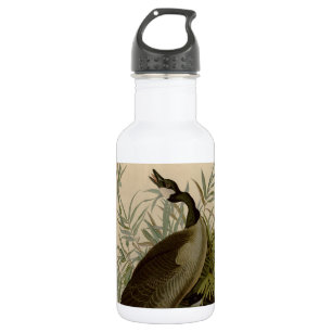 Garrafa Audubon Canada Goose Willife Bird