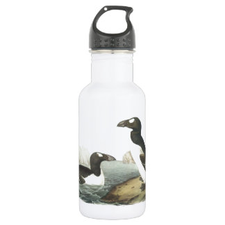 Garrafa Auk de excelente por Audubon