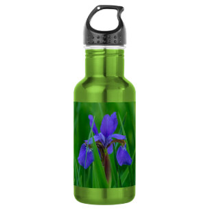 Garrafa Azul Holandês Entre Folhas De Água De Aço Inoxidáv