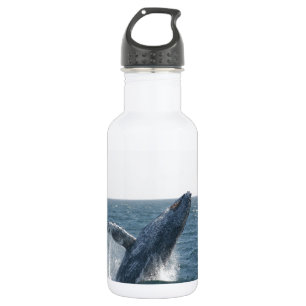 Garrafa Baleia de Humpback