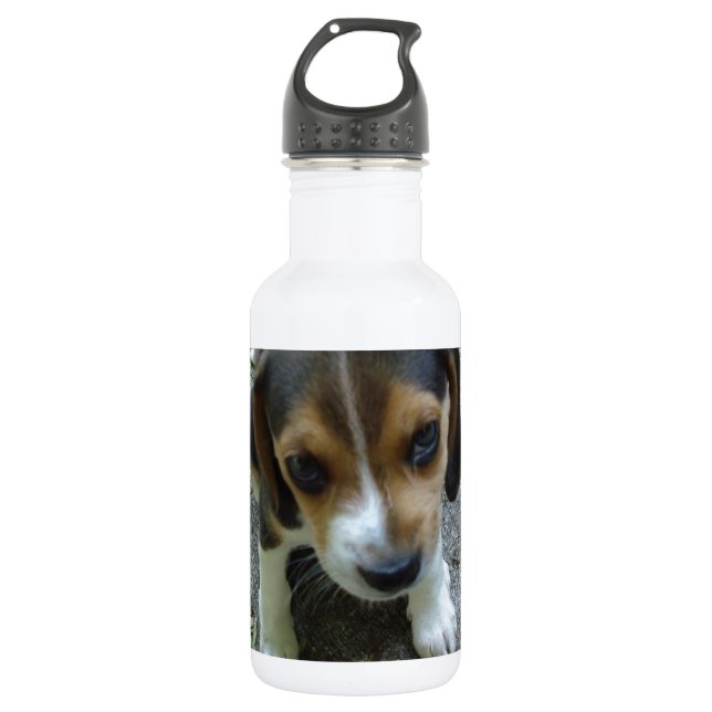 Garrafa Beagle_puppy_6_week.png (Frente)