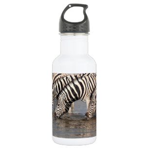Garrafa Bebendo Zebras