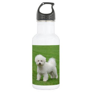 Garrafa Bichon Frise