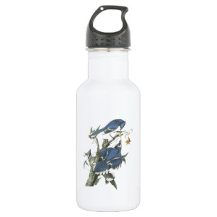 Garrafa Blue Jay de Audubon