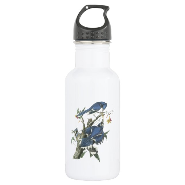 Garrafa Blue Jay de Audubon (Frente)