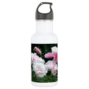 Garrafa bonito arbustos cor-de-rosa e rosa branca. Floral,
