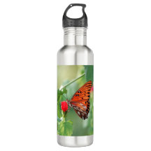 Borboleta com Salmo verso 23:3