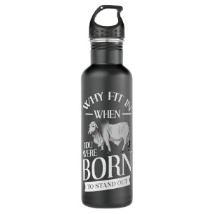 Garrafa Brahman Bull Cattle Mini Zebu Prêmio de Vaca