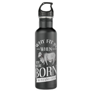 Garrafa Brahman Bull Cattle Mini Zebu Prêmio de Vaca