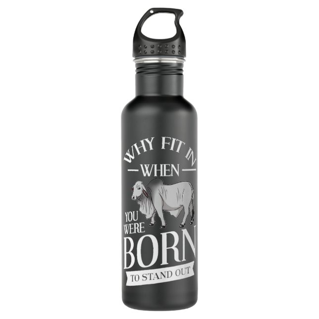 Garrafa Brahman Bull Cattle Mini Zebu Prêmio de Vaca (Frente)