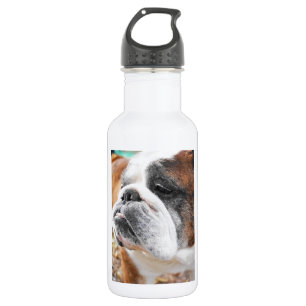 Garrafa Buldogue inglês