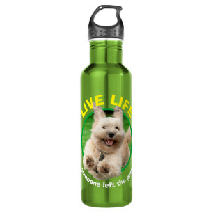 Garrafa Cachorro Em Jarda