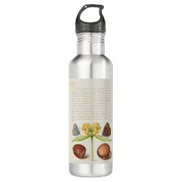 Garrafa Caligrafia, Jerusalém e feijão