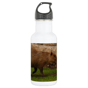 Garrafa capivara