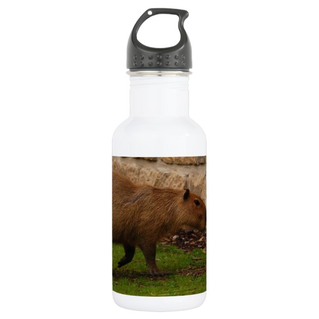 Garrafa capivara (Frente)