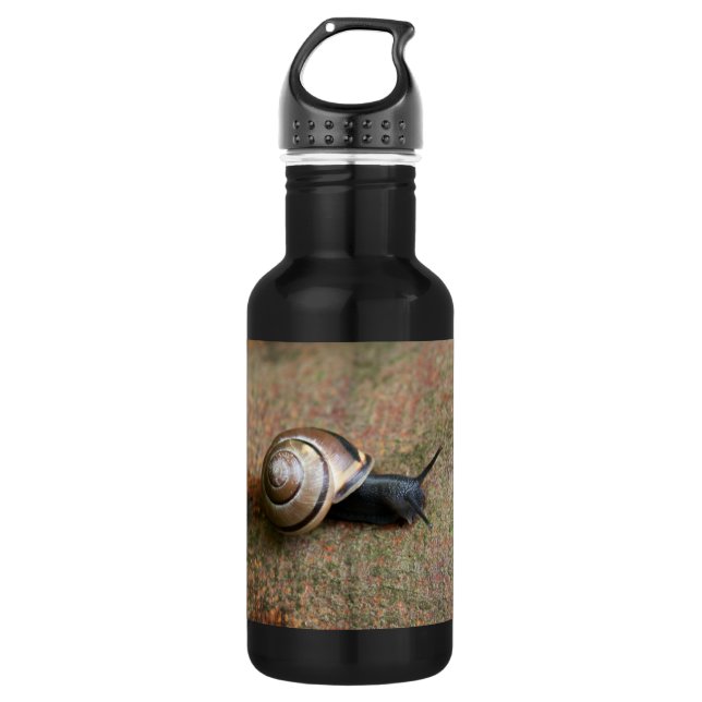 Garrafa Caracol (Frente)
