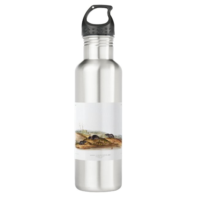 Garrafa Carolina Shrew House (Frente)