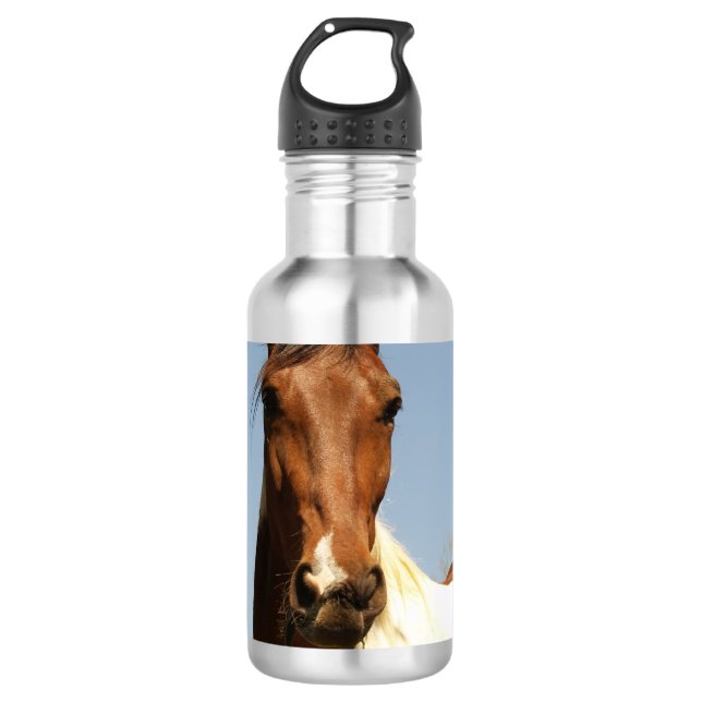 Garrafa Cavalo doce da pintura (Frente)