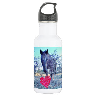 Garrafa Cavalo e Coração