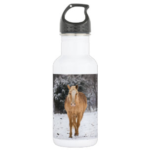 Garrafa Cavalo Louro Caminha Na Neve Sem Aço