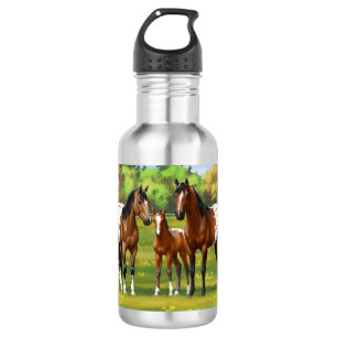 Garrafa Cavalos De Marrom Da Baía Appaloosa Em Pastagem D