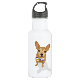 Garrafa Chihuahua em uma tigela de fundo branco