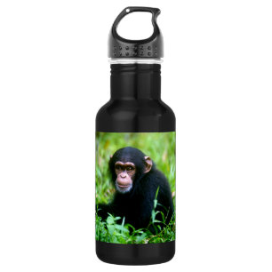 Garrafa Chimpanzé do bebê na grama