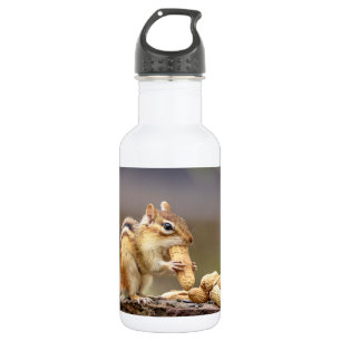 Garrafa Chipmunk comendo amendoim