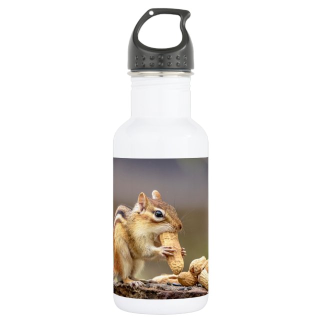 Garrafa Chipmunk comendo amendoim (Frente)