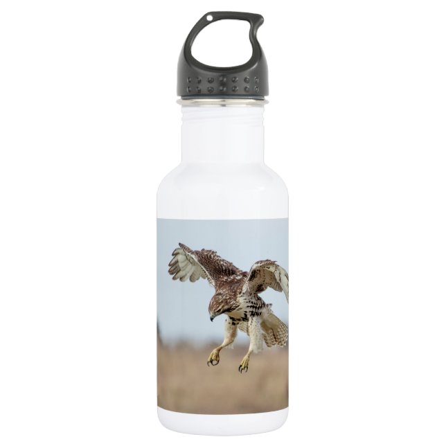 Garrafa Cobertura de Hawk imaturo de pele vermelha (Frente)