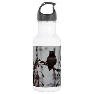 Garrafa Colibri em repouso