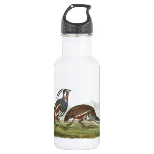 Garrafa Colisão de Montanha por Audubon
