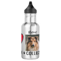 Collie Water Botch Dog Lovers