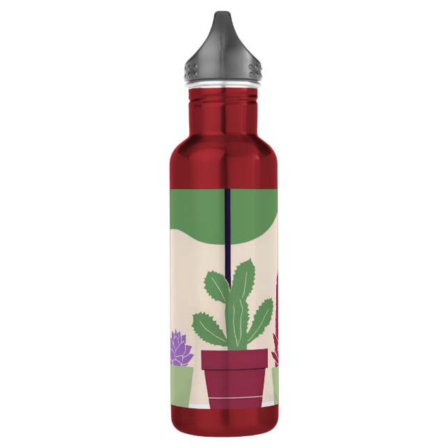 Garrafa Coloridos e cactus suculentos (Esquerda)