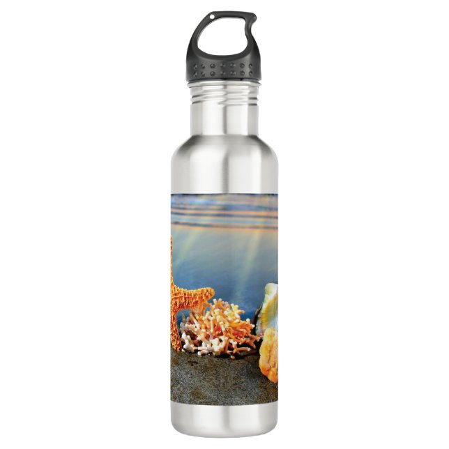 Garrafa Conchas marítimas e estrelas-do-mar na praia (Frente)