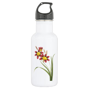 Garrafa corn lily (Ixia tricolor) por Redouté