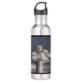 Garrafa Coruja de Olhos Curtos 2