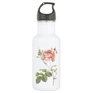 Garrafa Cumberland rosa por Redouté