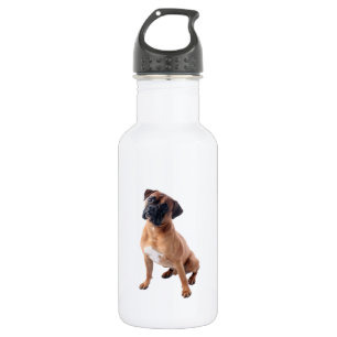 Garrafa da bebida do cão do pugilista