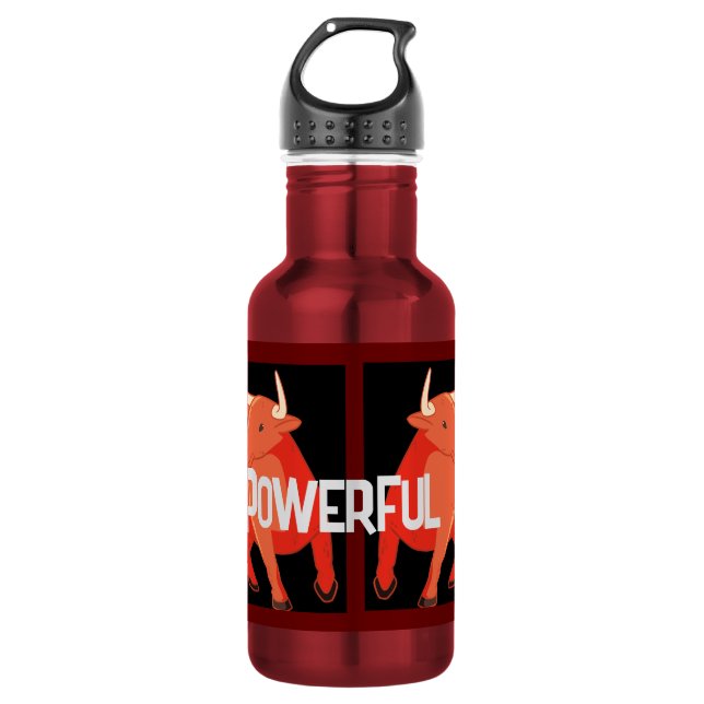 Garrafa de água (18 oz) - Garrafa de água de aço i (Frente)