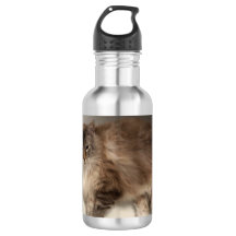 Garrafa de água de gato