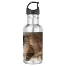 Garrafa de água de gato