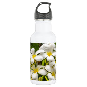 Garrafa de água exótica do Plumeria da ilha