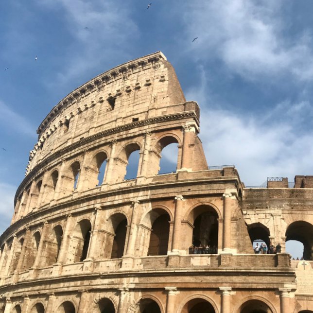 Garrafa de água para viagem (Criador carregado)