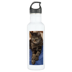 Garrafa de água personalizada de Dave (710 ml), br