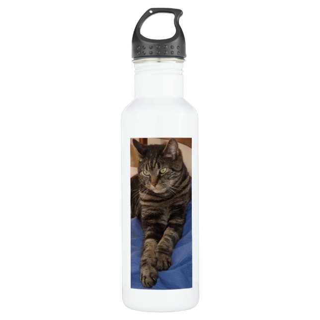 Garrafa de água personalizada de Dave (710 ml), br (Frente)