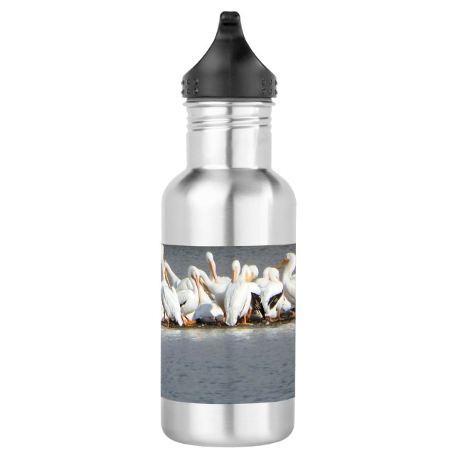 Garrafa de água, rebanho dos pelicanos (Direita)