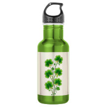 Decoração de Shamrock